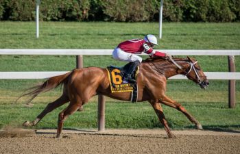 Horse racing This is a photo of thoroughbred Gun Runner, 2018 Horse of the Year winning the Whitney Stakes at Saratoga - with jockey Florent Geroux.