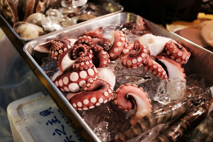 Seafood Seafood Market in Japan food,seafood,japan