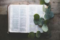 The word  grey,bible,church