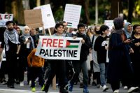 Palestine protest  protest,placard,free palestine