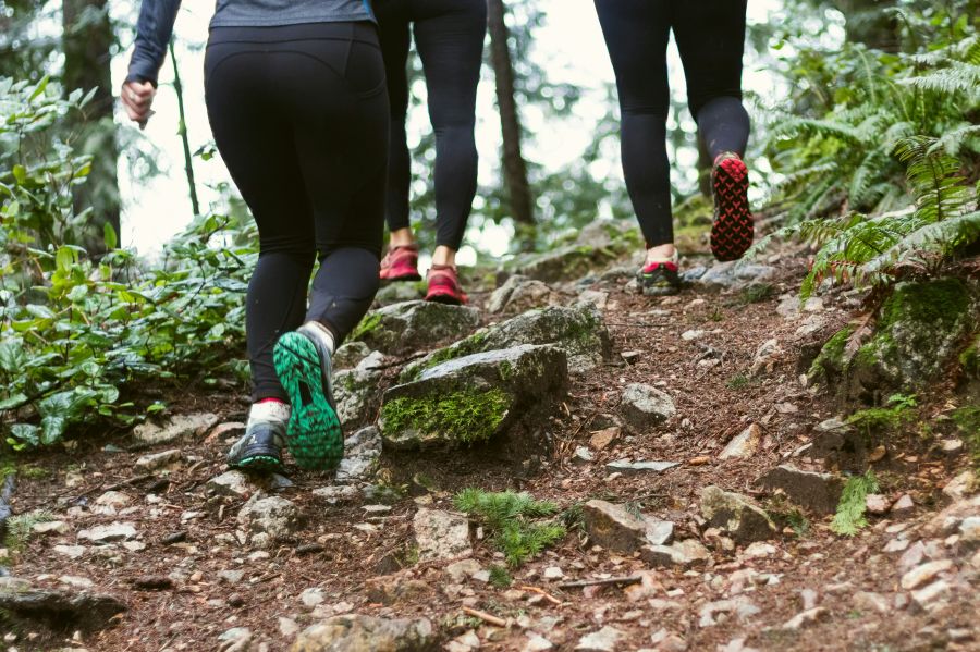 Outdoor exercise group of athletic women in running shoes climbing a trail in the forest fitness,wellness,outdoors