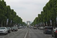 Champs Elysees  paris,france,grey