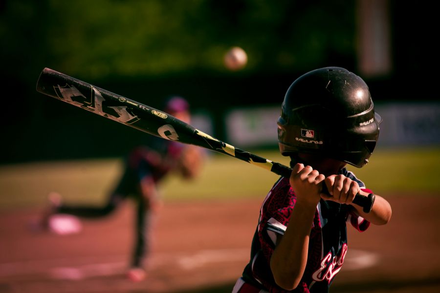 baseball bat  