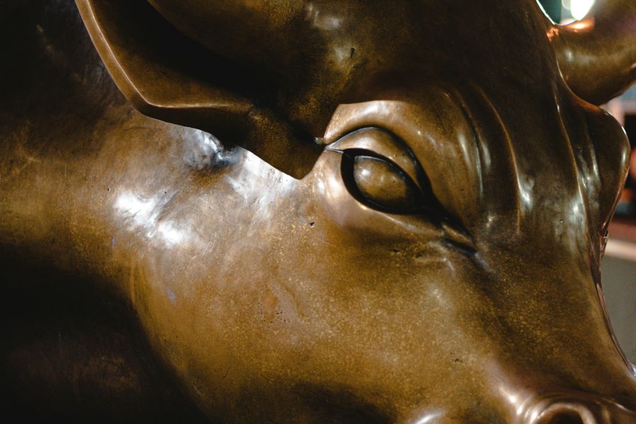 Bronze Charging Bull 