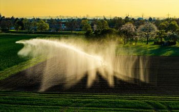 Water management A sprinkler irrigation system sprays water over a cultivated field, creating a mist in the air. The surrounding area includes green grass, trees with spring foliage, and a backdrop of buildings and utility poles under early morning light.