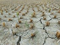 Water scarcity  