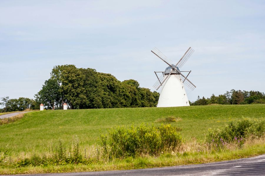 Chronicles Summer One of the summer roadtrips in Estonia. North coast, Lääne-Virumaa, Vihula mõisa windmill, seems that renovated (if You check the google maps - last photoshoot made in 2011). Beautiful place surrounded mostly by fields. 