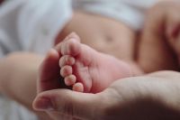maternity Newborn 
