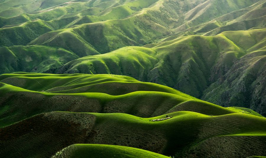 Nature Body Grassland in Yili，Xinjiang，China Nature,green,landscape