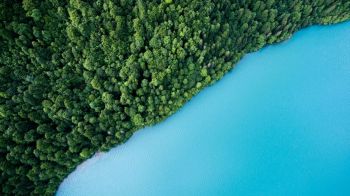 Environment Nature Blue lake and green shore