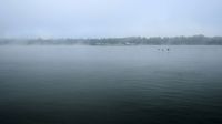 Rhin River  