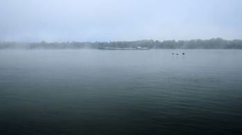 Rhin River