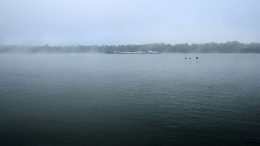 Rhin River  