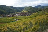 Alsace  france,kaysersberg,nature