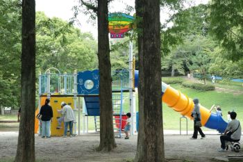 playground greenery