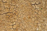 Drought Farming  
