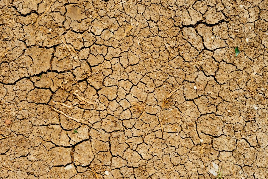 Drought Farming  