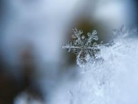 Winter closure Snowflake macro winter,christmas,holiday