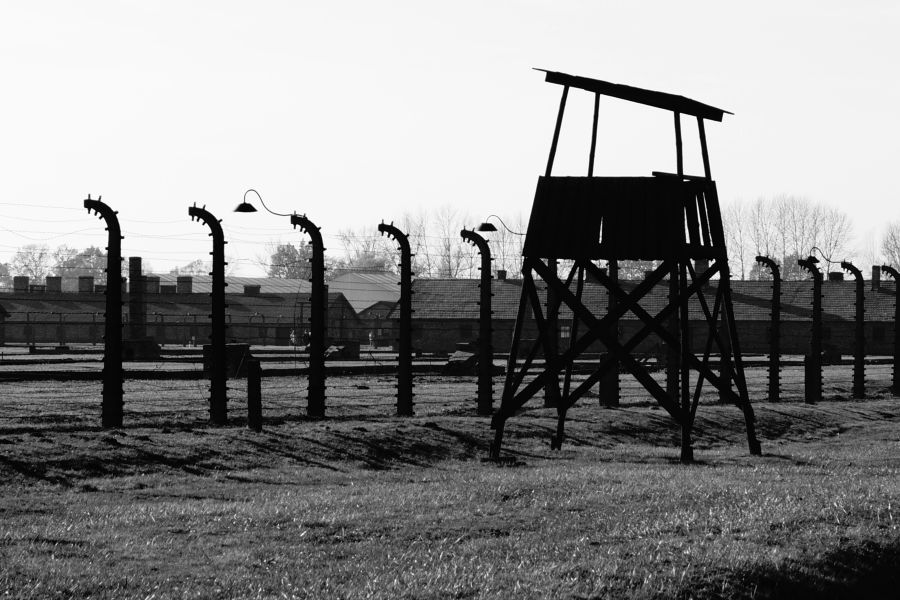 genocide  black,concetration camp,totalitarianism