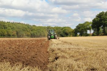 farm rehabilitation
