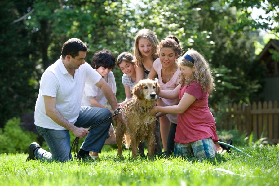 Family Photography Keeping your furry pets healthy includes keeping them clean, as well. Together, this family was in the process of washing their Labrador retriever outside in the fresh air. With help from two neighbor girls, the mother, young daughter, and son, were all soaping down the dog’s coat, while the father was steadying the pet using a leash and his hand. family,family photo,family photograph