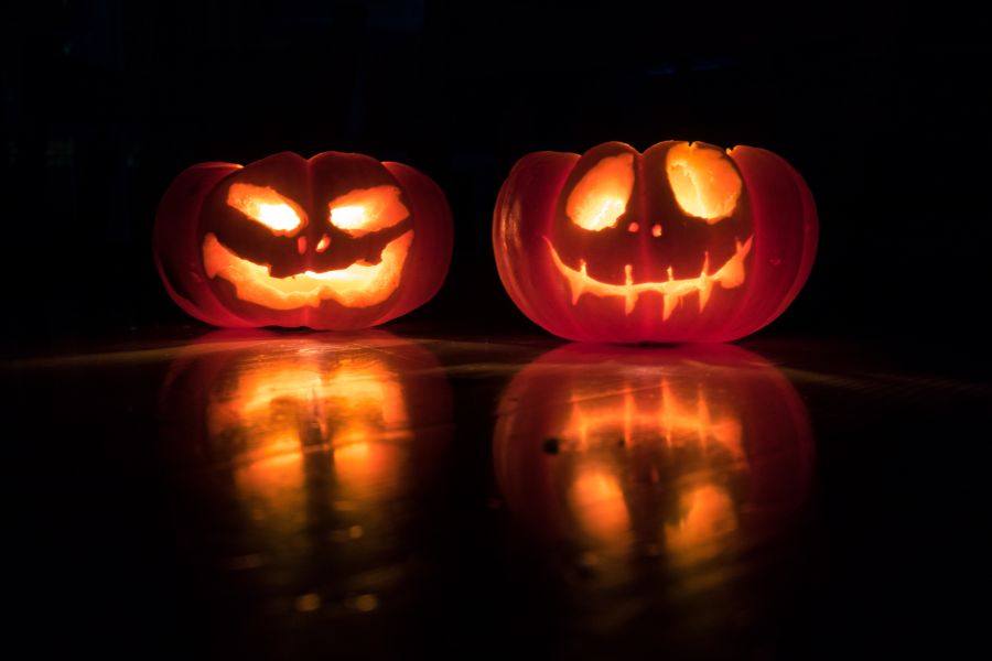 Halloween Pumpkin Twins halloween,pumpkin,holiday