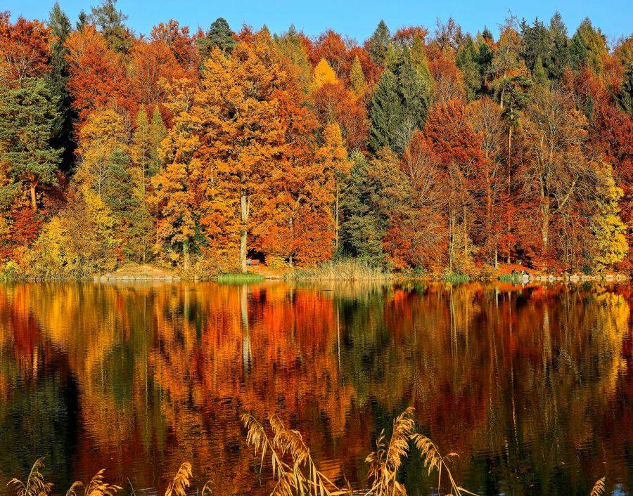 fall Autumn reflections 23 