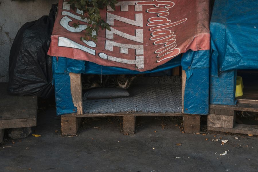 Homeless shelter A cat shelter made from wooden pallets and covered with tarps, providing warmth and protection for street cats. Inside, a cat is seen lying on a blanket in the dim light, creating a touching urban scene of care and compassion. 