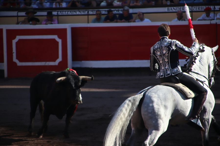 Bullfighting  bull,bullfighting,dangerous