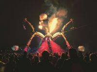 Carnival fire  festival,metamorphosis,party