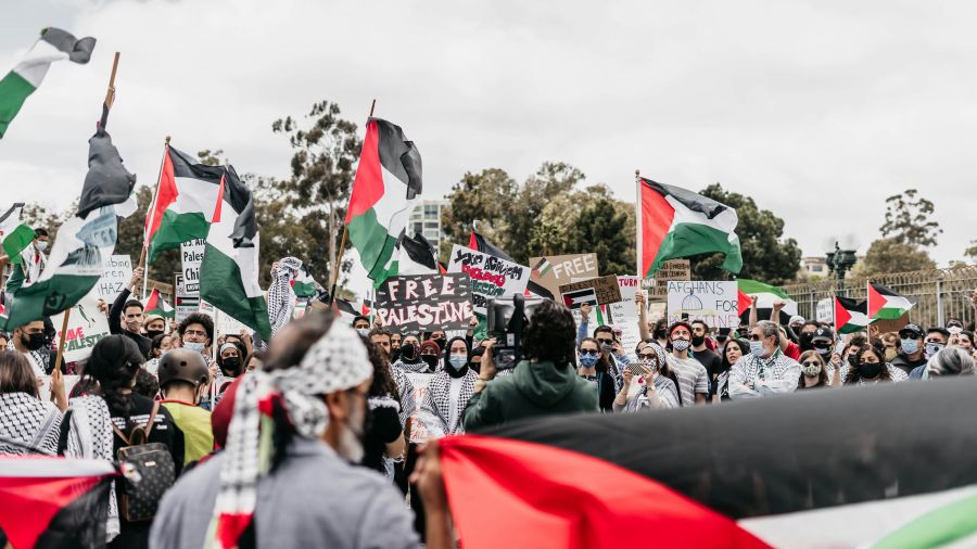 Palestine protest  