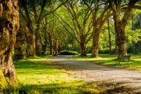 Park  