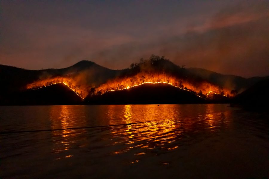 Fire nature Wildfire 
