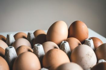 Egg contamination Eggs Romance