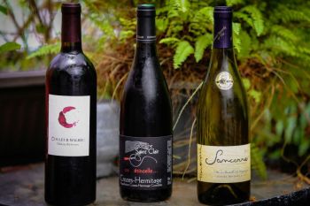 Wine house Best Selection of Wine