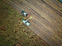 Agriculture Maisernte tractor,field,farmer