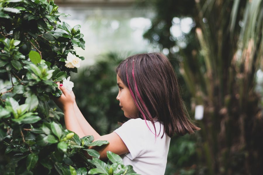 Activities Events Girl looking at flowers in bothanical gardens in Stockholm.
 bothanical gardens,quiet,kid