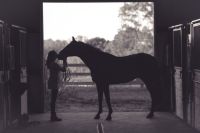 Equestrian This was the last shot of the day on my high school senior shoot with Ms Hailey, she was getting ready to let her horse Wesley go out in the pasture with the other for a while and she gave him a big kiss. united states,sandy river equestrian center,axton