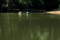 Caregiver respite two women in hats swimming in river water,swimming,forest