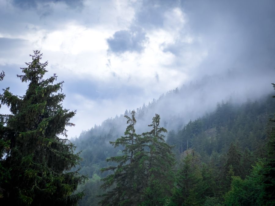 Swiss Epiphany Misty clouds in the mountains in Swiss swiss,fog,mountains