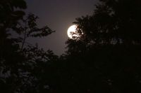 peaceful night Feel the Night 