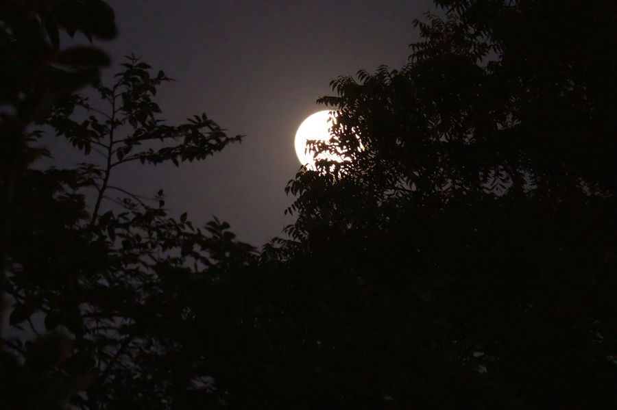 peaceful night Feel the Night 