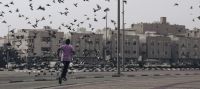 jogging bird  