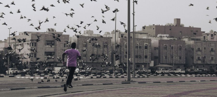 jogging bird  