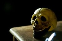 Skull fetus  