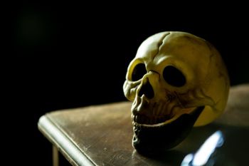 Skull fetus