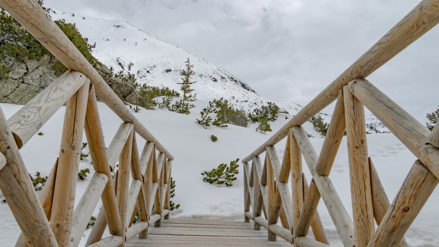 Mountain regions  pirin,bulgarien,wood