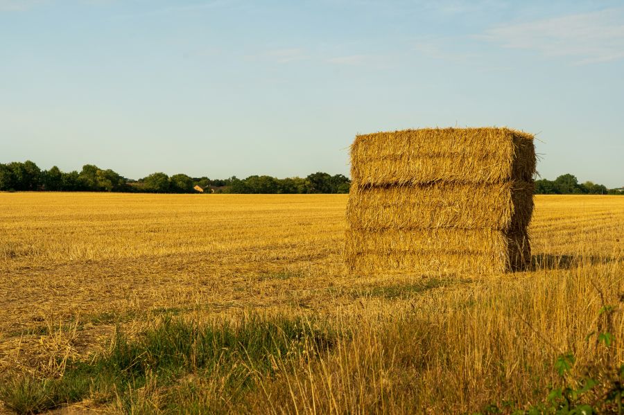 Animal feed A hay bale in a field of recently harvested wheat. 