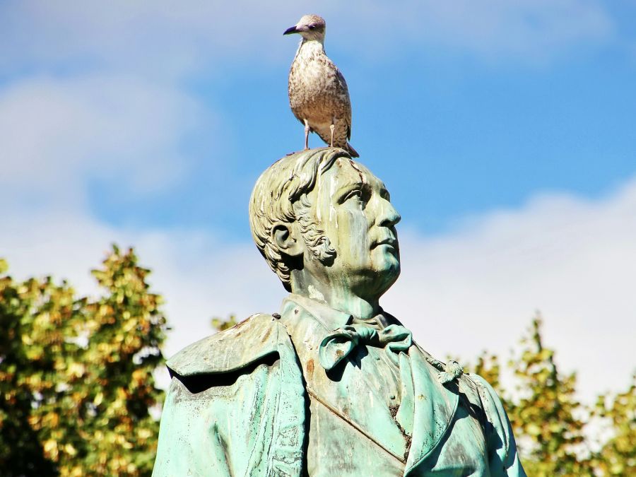 Politician Activist Artificial Intelligence or just a seagull on a statue's head with shit. Storytelling: If you ever dreamed of becoming famous - ensure to never end up as a statue :-) The photo was made in Oslo, Norway. The statue is a memorial to remarkable Henrik Wergeland who was one of the first bloggers of the world long before the Internet was invented. He simply used paid ads in newspapers to spread his opinions. oslo,stortingsgata,statue of henrik wergeland