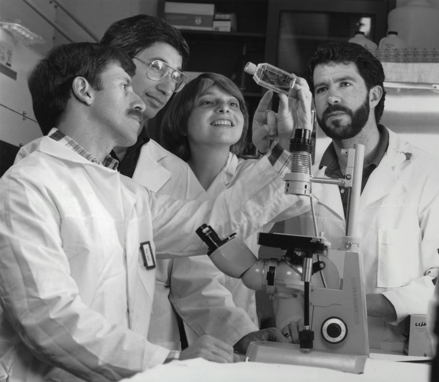 scientific discovery A group of scientists, 1 woman and 3 men, gather around a microscope to examine a tissue culture flask. 